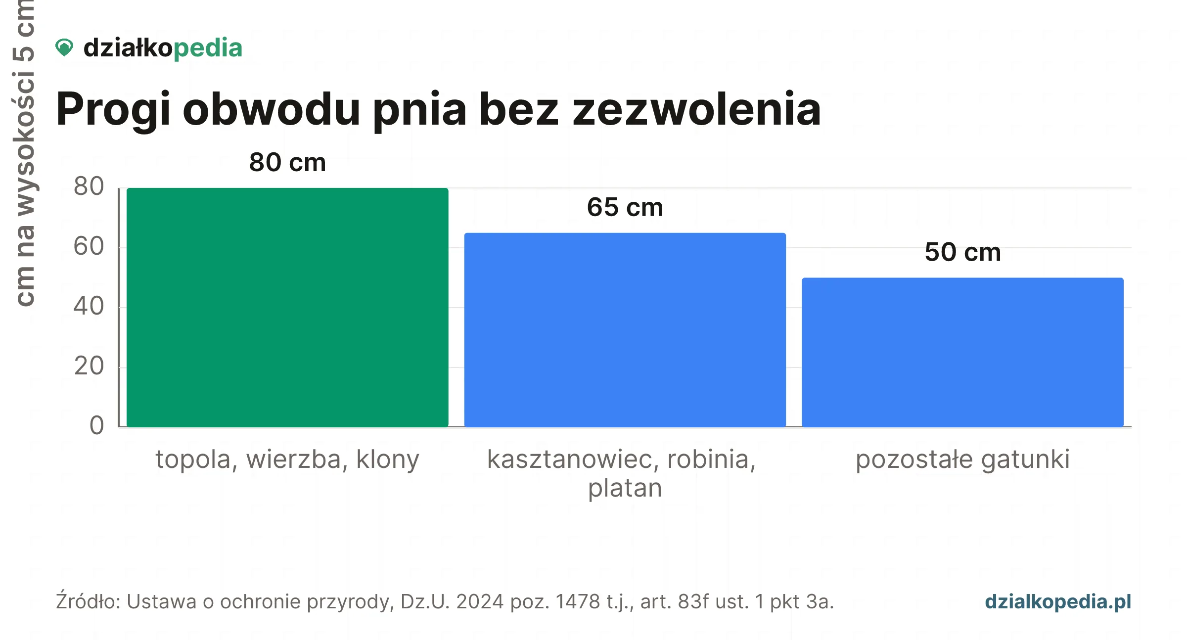 Progi obwodu pnia: 80 cm, 65 cm i 50 cm mierzone 5 cm nad ziemią.
