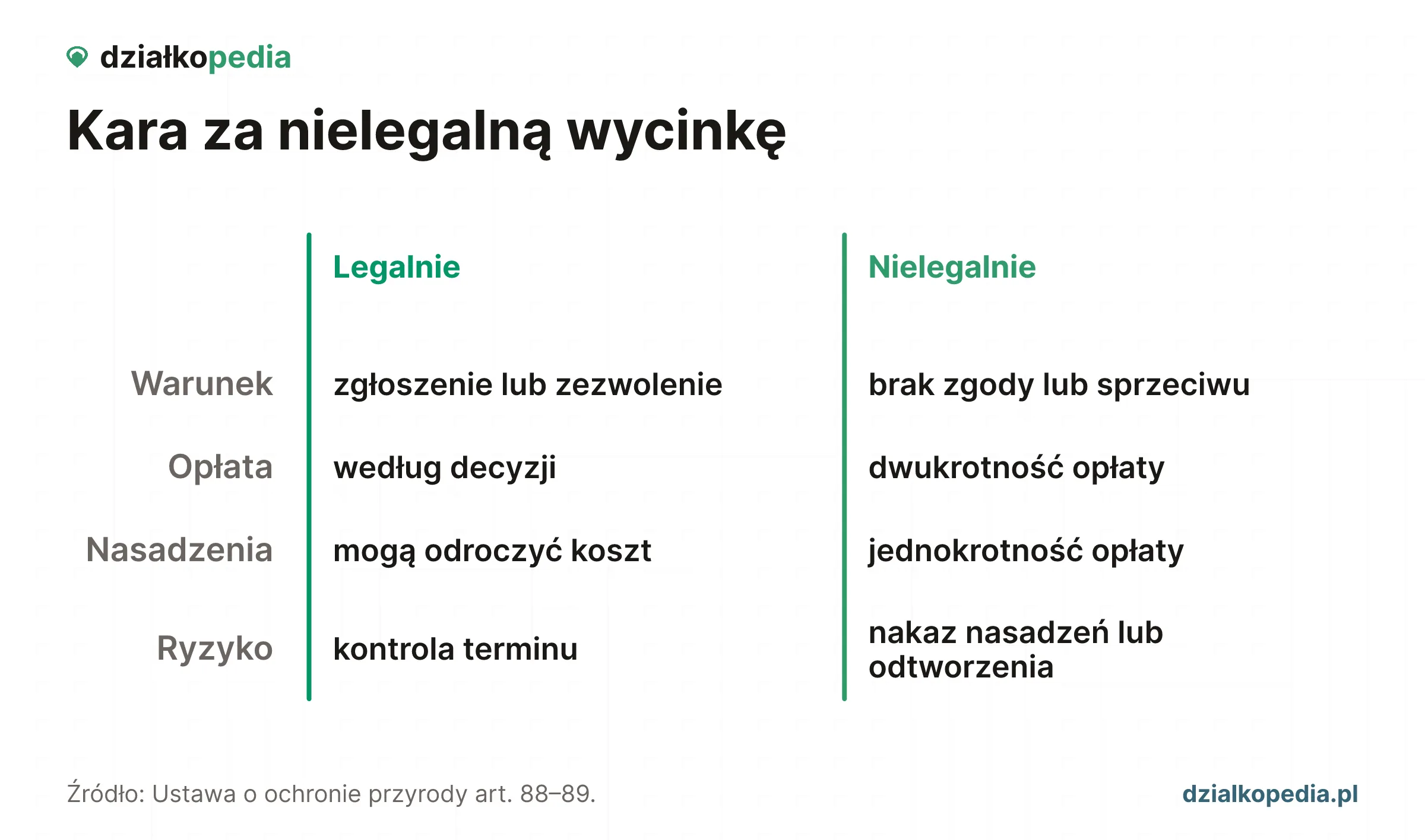 Porównanie legalnej i nielegalnej wycinki: opłata, kara i możliwe nasadzenia.