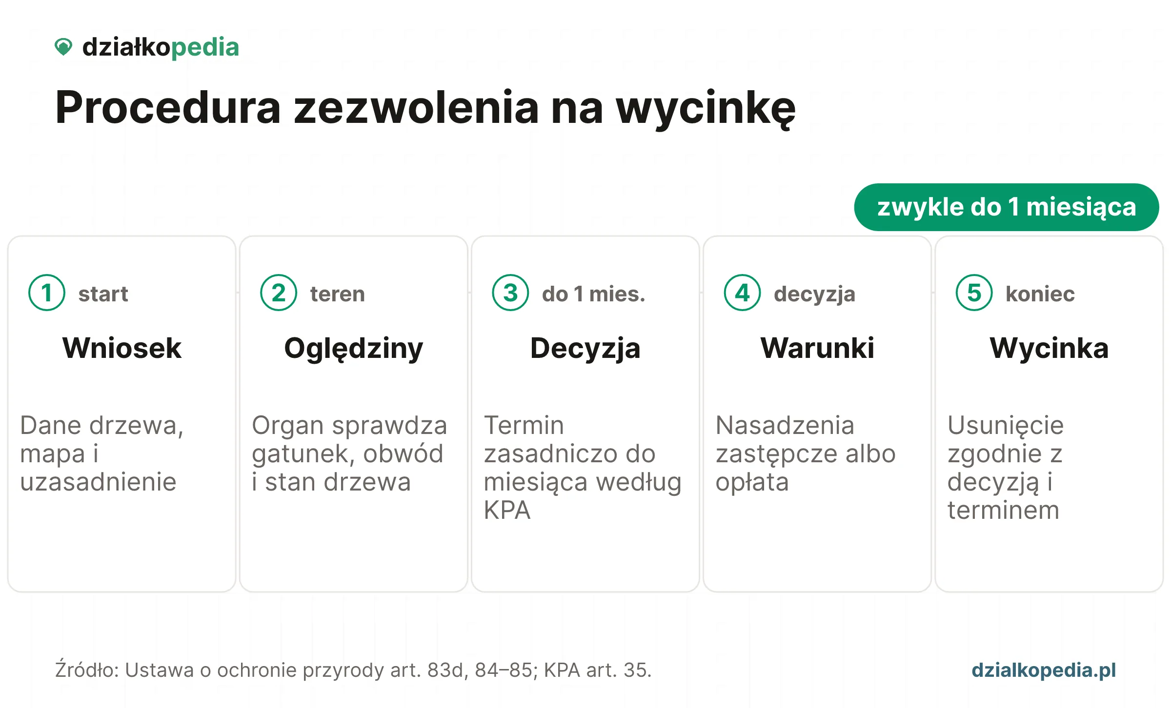 Pięć kroków: wniosek, oględziny, decyzja, warunki i legalna wycinka.